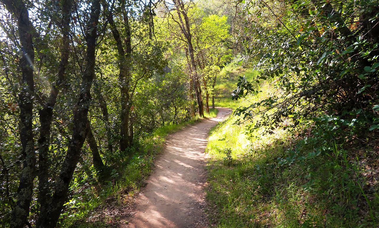 Grand Avenue Visioning Meeting Friends of Riverview Park